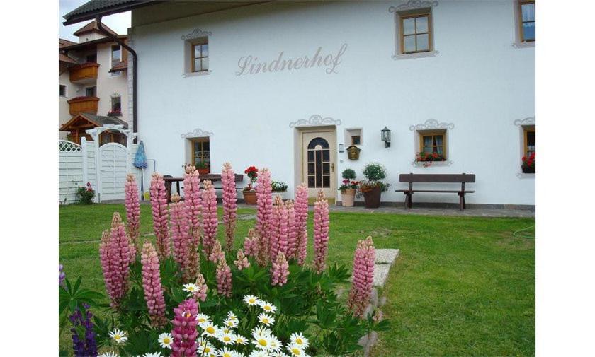 Hotel Lindnerhof Urlaub am Bauernhof Sankt Lorenzen Exterior foto